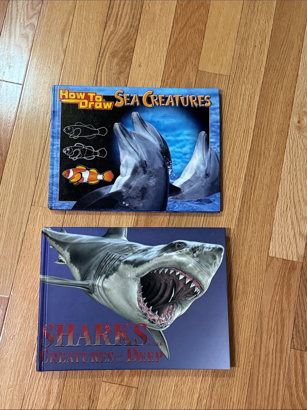 Sea Creatures Books